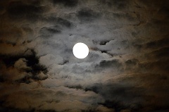fullmoon 008